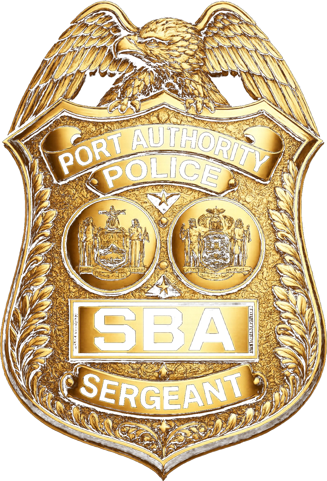 PA-SBA badge